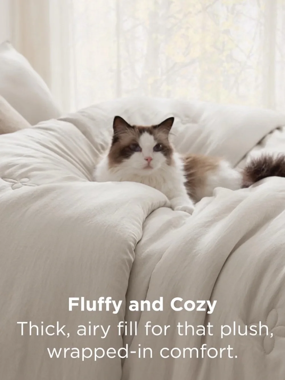 Queen Comforter Set